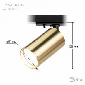 Светильник на штанге Эра  TR39-GU10 BS в Чайковском - chaykovskiy.ok-mebel.com | фото 6