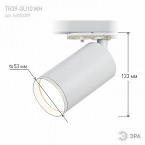 Светильник на штанге Эра  TR39-GU10 WH в Чайковском - chaykovskiy.ok-mebel.com | фото 7