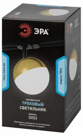 Светильник на штанге Эра  TR42-GX53 BS в Чайковском - chaykovskiy.ok-mebel.com | фото 6