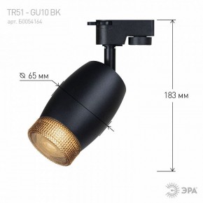 Светильник на штанге Эра  TR51 - GU10 BK в Чайковском - chaykovskiy.ok-mebel.com | фото 4