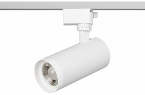 Светильник на штанге Эра  TR59 - 2040 WH в Чайковском - chaykovskiy.ok-mebel.com | фото 2