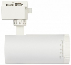 Светильник на штанге Эра  TR59 - 2040 WH в Чайковском - chaykovskiy.ok-mebel.com | фото 4
