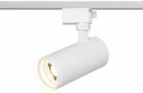 Светильник на штанге Эра  TR59 - 2040 WH в Чайковском - chaykovskiy.ok-mebel.com | фото 5