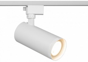 Светильник на штанге Эра  TR59 - 3030 WH в Чайковском - chaykovskiy.ok-mebel.com | фото