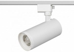 Светильник на штанге Эра  TR59 - 3030 WH в Чайковском - chaykovskiy.ok-mebel.com | фото 2