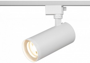 Светильник на штанге Эра  TR59 - 3030 WH в Чайковском - chaykovskiy.ok-mebel.com | фото 5