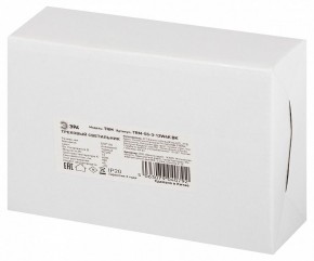 Светильник на штанге Эра  TRM-S5-3-12W4K-BK в Чайковском - chaykovskiy.ok-mebel.com | фото 8