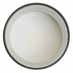 Светильник на штанге Feron ML1001 51371 в Чайковском - chaykovskiy.ok-mebel.com | фото 4