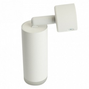Светильник на штанге Feron ML1021 51390 в Чайковском - chaykovskiy.ok-mebel.com | фото 3