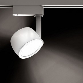 Светильник на штанге Gauss Track Light TR054 в Чайковском - chaykovskiy.ok-mebel.com | фото 2