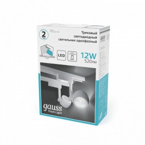 Светильник на штанге Gauss Track Light TR054 в Чайковском - chaykovskiy.ok-mebel.com | фото 5