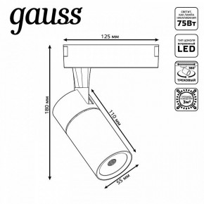 Светильник на штанге Gauss Track Light TR060 в Чайковском - chaykovskiy.ok-mebel.com | фото 5