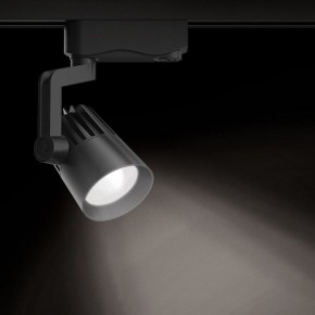 Светильник на штанге Gauss Track Light TR061 в Чайковском - chaykovskiy.ok-mebel.com | фото 2