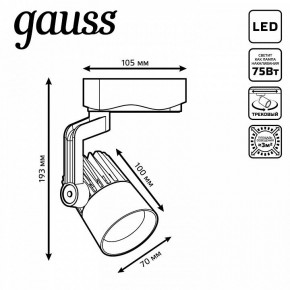 Светильник на штанге Gauss Track Light TR061 в Чайковском - chaykovskiy.ok-mebel.com | фото 6