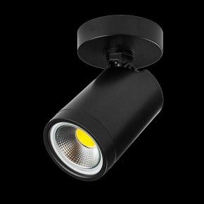 Светильник на штанге Lightstar Rullo 213407 в Чайковском - chaykovskiy.ok-mebel.com | фото 2