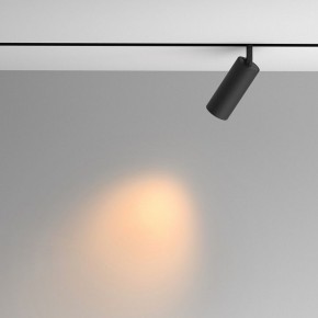 Светильник на штанге Maytoni Artisan TR097-2-12W2.7K-M-BB в Чайковском - chaykovskiy.ok-mebel.com | фото 4