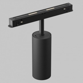 Светильник на штанге Maytoni Artisan TR097-2-12W2.7K-M-BB в Чайковском - chaykovskiy.ok-mebel.com | фото 6