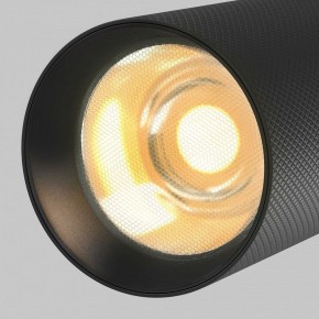 Светильник на штанге Maytoni Artisan TR097-2-12W2.7K-M-BB в Чайковском - chaykovskiy.ok-mebel.com | фото 9