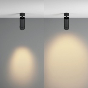 Светильник на штанге Maytoni Focus Zoom C055CL-L12W2.7K-Z-B в Чайковском - chaykovskiy.ok-mebel.com | фото 3