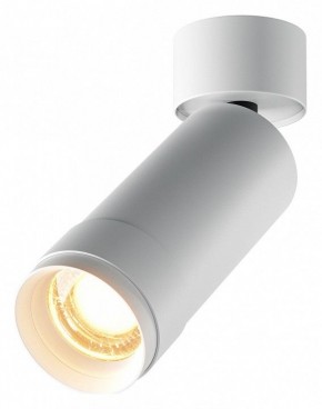 Светильник на штанге Maytoni Focus Zoom C055CL-L12W2.7K-Z-W в Чайковском - chaykovskiy.ok-mebel.com | фото
