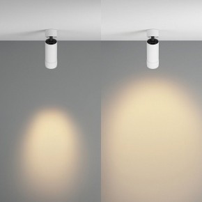 Светильник на штанге Maytoni Focus Zoom C055CL-L12W2.7K-Z-W в Чайковском - chaykovskiy.ok-mebel.com | фото 3