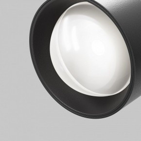 Светильник на штанге Maytoni Lens TR217-2-15W4K-B в Чайковском - chaykovskiy.ok-mebel.com | фото 10