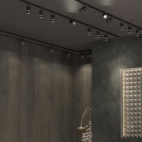 Светильник на штанге Novotech Elina 370777 в Чайковском - chaykovskiy.ok-mebel.com | фото 4