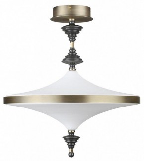 Светильник на штанге Odeon Light Ula 5404/43CL в Чайковском - chaykovskiy.ok-mebel.com | фото