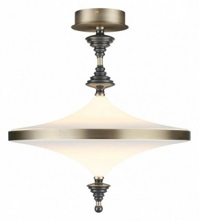 Светильник на штанге Odeon Light Ula 5404/43CL в Чайковском - chaykovskiy.ok-mebel.com | фото 2