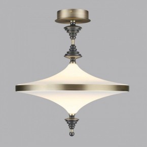 Светильник на штанге Odeon Light Ula 5404/43CL в Чайковском - chaykovskiy.ok-mebel.com | фото 3