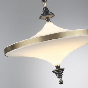 Светильник на штанге Odeon Light Ula 5404/43CL в Чайковском - chaykovskiy.ok-mebel.com | фото 6