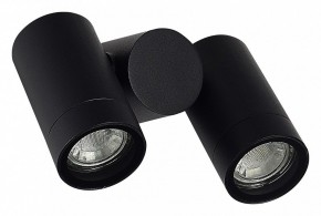 Светильник на штанге ST-Luce Ecollo SL9011.402.02 в Чайковском - chaykovskiy.ok-mebel.com | фото