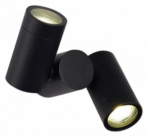 Светильник на штанге ST-Luce Ecollo SL9011.402.02 в Чайковском - chaykovskiy.ok-mebel.com | фото 2
