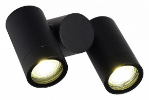 Светильник на штанге ST-Luce Ecollo SL9011.402.02 в Чайковском - chaykovskiy.ok-mebel.com | фото 3