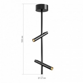 Светильник на штанге ST-Luce LILT SL6210.403.02 в Чайковском - chaykovskiy.ok-mebel.com | фото 3