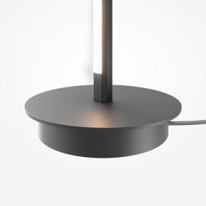 Торшер Maytoni Thin MOD395FL-L28B3K в Чайковском - chaykovskiy.ok-mebel.com | фото 8