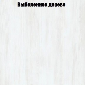 Вешалка V2 в Чайковском - chaykovskiy.ok-mebel.com | фото 4