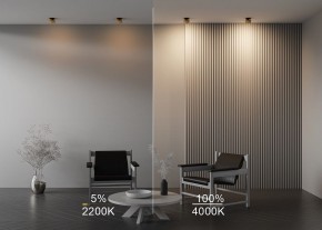 Встраиваемый светильник Maytoni Onda DL024-12W-DTW-BMG в Чайковском - chaykovskiy.ok-mebel.com | фото 9
